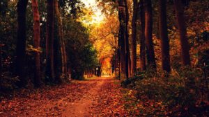 מה היא גבריות מיטיבה?